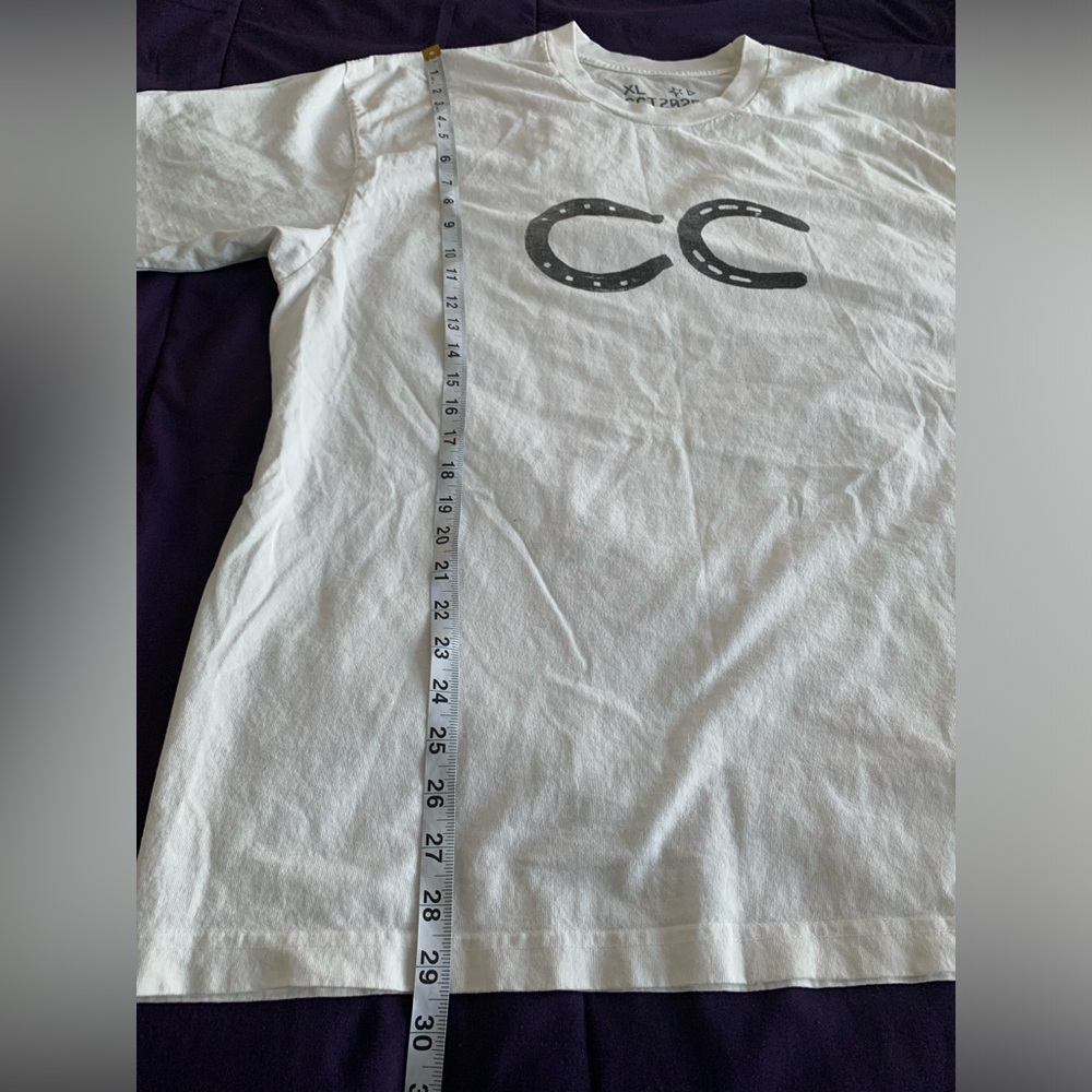 New Beyonce Cowboy Carter Ghost Star Tee 2025 White/Grey Size XL 100% Cotton - Picture 5 of 10
